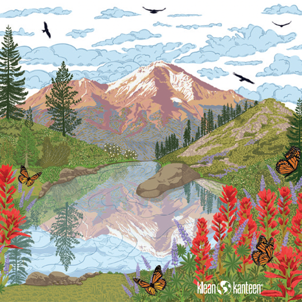20oz_tkwide_insulated_bottle_earthday_heart_lake_artwork_600x.png
